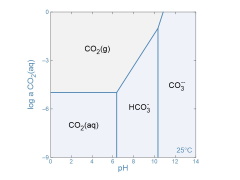 Gas solubility diagram